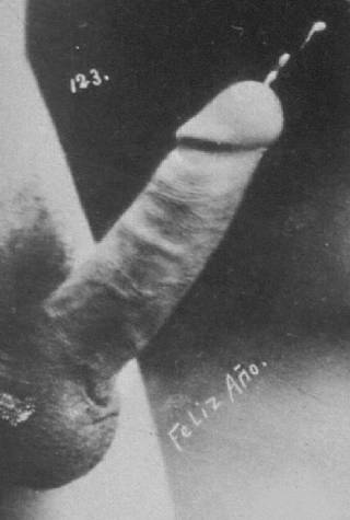 penis, ejaculating