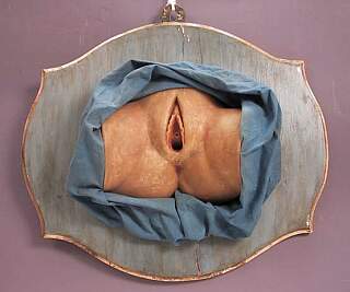 antique wax pussy
