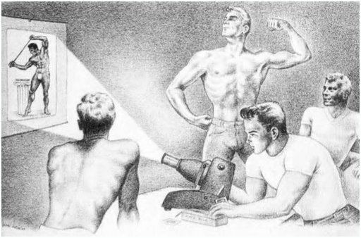 crypto gay porn art of buff men watching bodybuilding porn slides