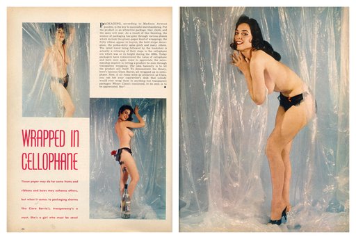 cellophane as fetish fuel nude photo shoot