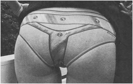 rear view of novelty chastity belt panties