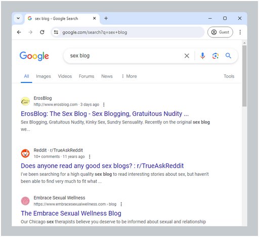 erosblog at the stop of the search engine results for sex blog