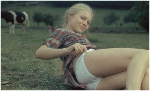 blonde girl fallen down in a pasture and showing her panties