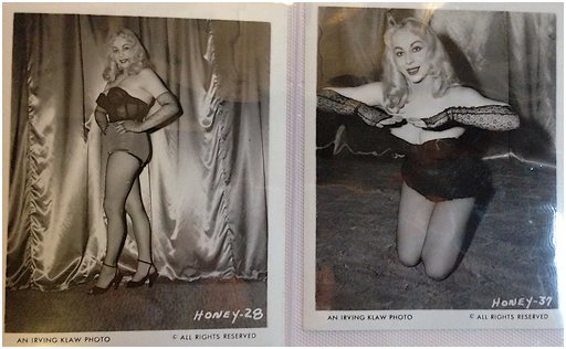 scans of digital photos of vintage Irving Klaw photos of model Honey Baer in fancy fishnet stockings and underwear