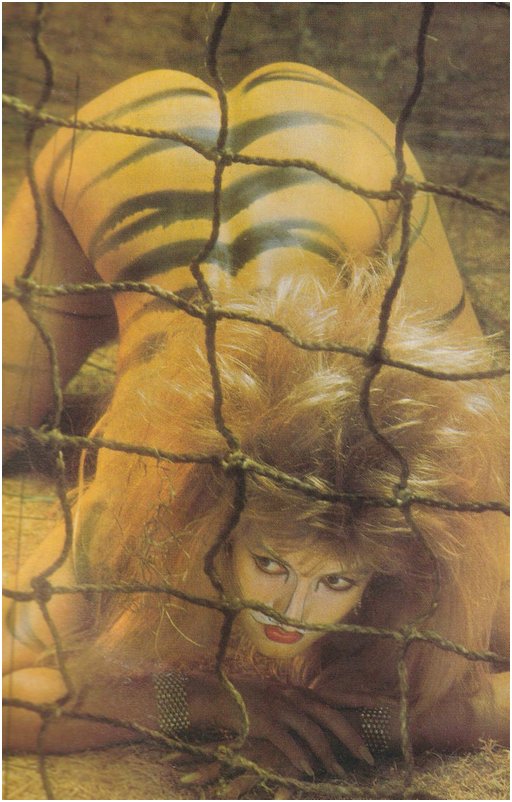 painted tiger girl captured in the nets of some hunters