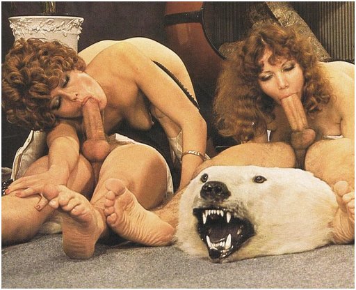 orgy bear wants out!