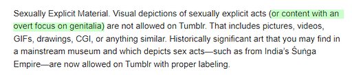 adult content community guidelines prohibit overt focus on genitalia